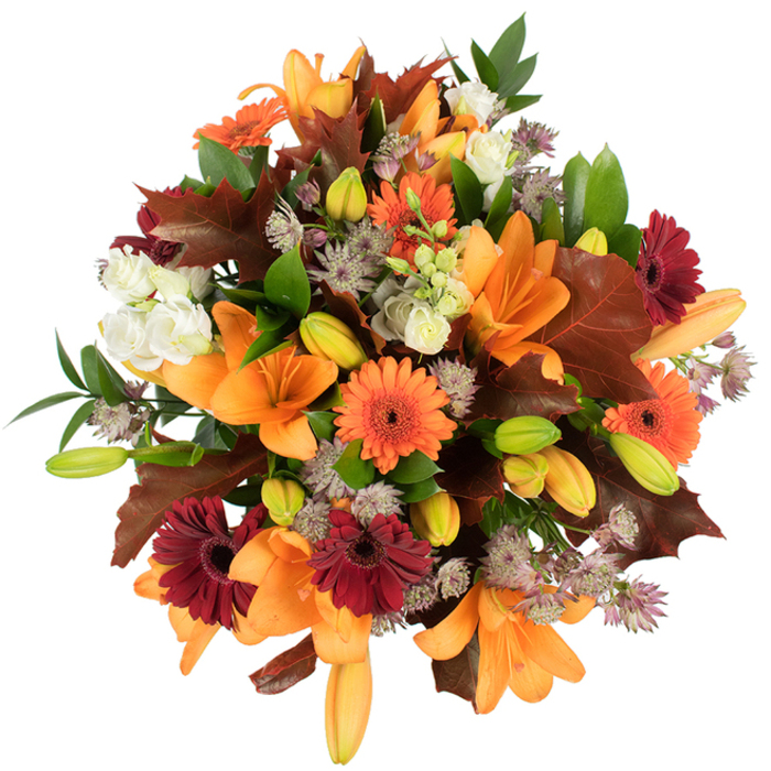 A lush, elevated view of an autumnal hand-tied bouquet resting against a white background, rendered in warm, harvest colours that feel tactile and inviting. Several bold orange Asiatic lilies take centre stage, their large, glossy petals unfurling like small suns; surrounding them are clusters of tight, green-tinged lily buds that suggest the bouquet will unfurl further over days. Vivid orange Gerbera daisies punctuate the arrangement with playful round faces, while deep burgundy Gerberas introduce a rich, autumnal depth. Creamy-white lisianthus blooms offer soft, ruffled pockets of light amid the stronger pigments, their layered petals providing a plush texture to the eye. Fine, starry heads of muted purple Astrantia float through the design, their delicate, spiky textures contrasting beautifully with the smooth lily petals. Prominent, broad leaves in deep reddish-brown, evocative of oak or fallen maples, are carefully arranged to echo autumn afternoons in Beckton Park and along the Royal Docks; their lobed edges and warm patina ground the composition in the season. Fresh green foliage and slim stems interlace to give the bouquet structure and a lively silhouette. The arrangement reads as freshly gathered and densely arranged, offering an olfactory suggestion of gentle floral perfume with earthy, leafy undertones-suitable for Thanksgiving-style tables, harvest gatherings, or a thoughtful seasonal gift for someone who loves the changing year. The craftsmanship is confident and considered, a testament to local florist expertise and an understanding of how contrast, texture, and light create emotional resonance.